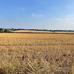 Elm Σπίτι διακοπών *